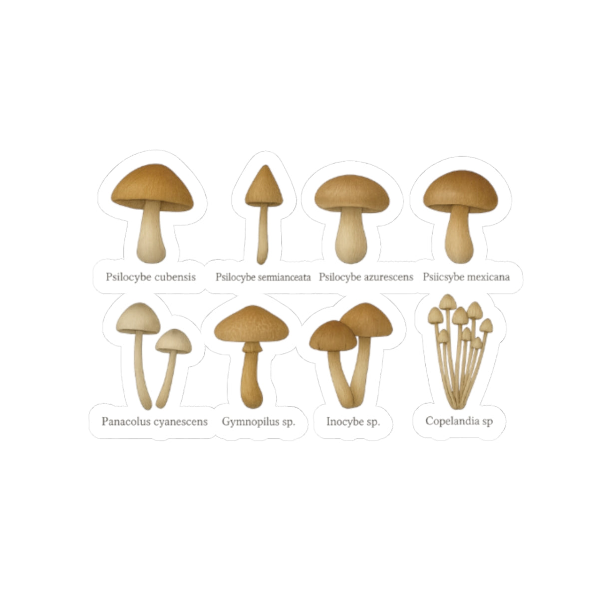 Mushroom Science Kiss-Cut Stickers - Urban Decor for Nature Lovers