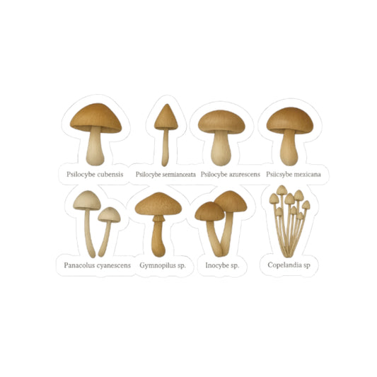 Mushroom Science Kiss-Cut Stickers - Urban Decor for Nature Lovers